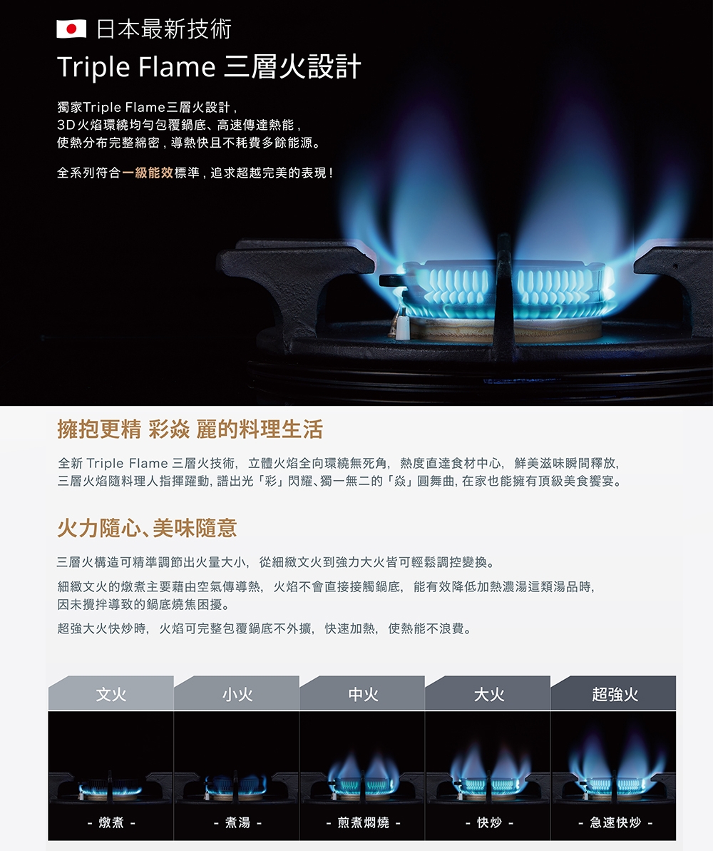 Rinnai林內牌 RBTS-L260S - 詳情6