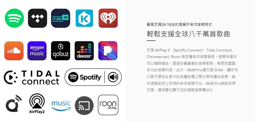 WiiM Pro Plus - 詳情5