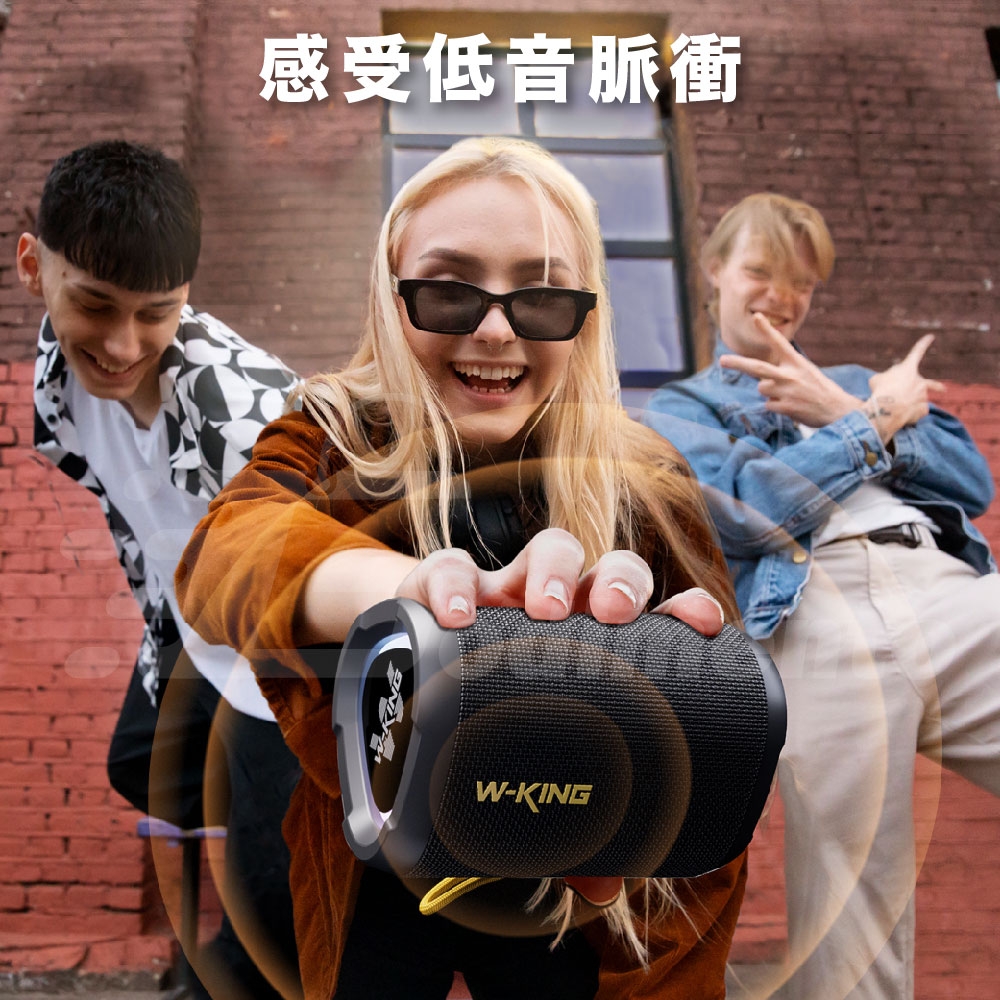 W-KING D110 - 詳情6