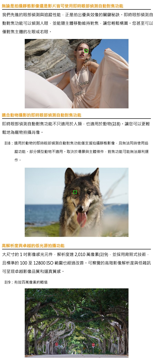 SONY索尼 DSC-RX100VII G - 詳情4