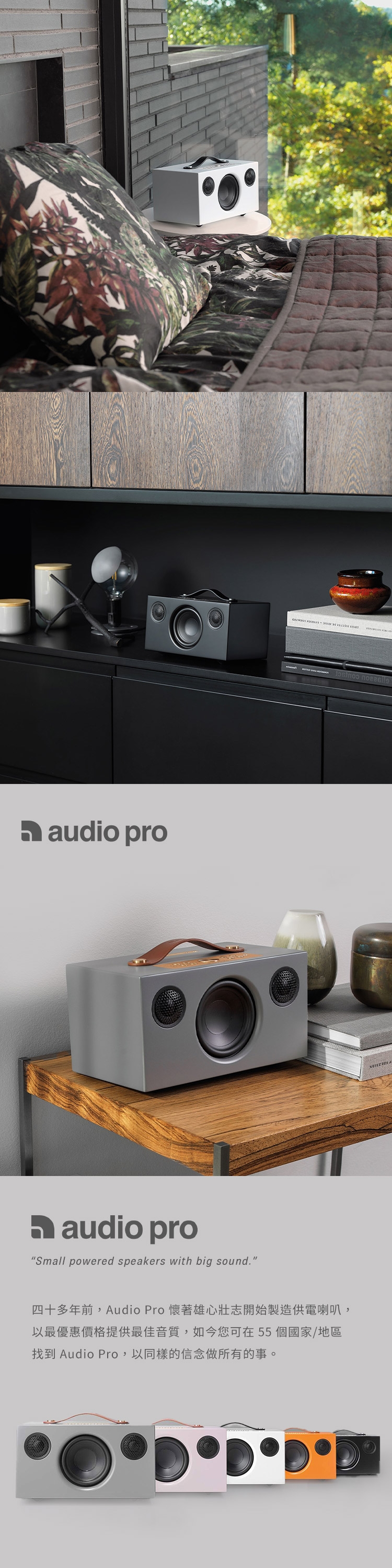 audio pro C5 MKII - 詳情3