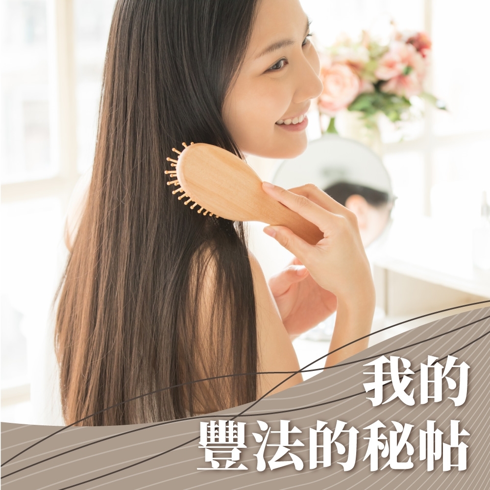 我的豐法的秘帖