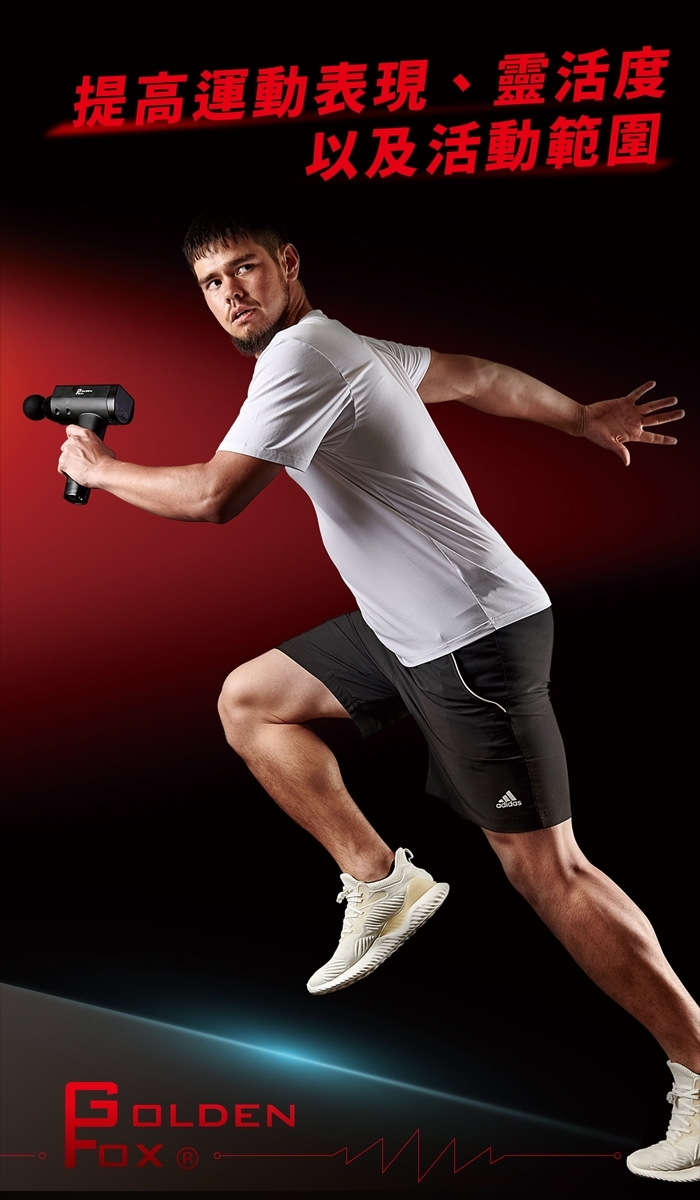 GOLDEN FOX GF-916 - 詳情9