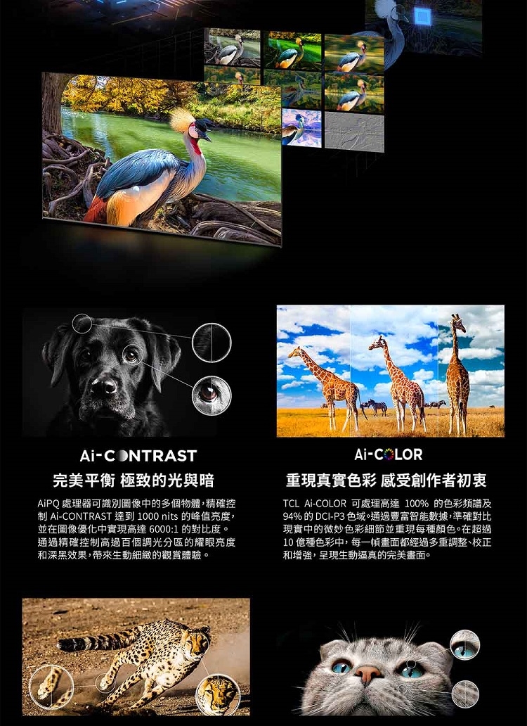 TCL 85C745 - 詳情8