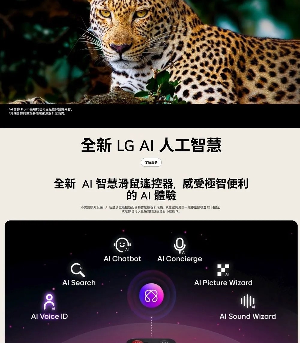 LG樂金 OLED55G5PTA - 詳情8