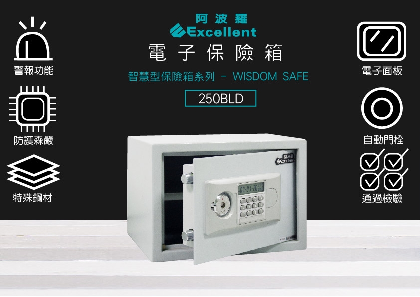 Excellent阿波羅 250BLD - 詳情5