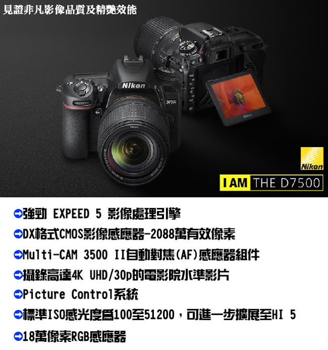 Nikon尼康 D7500 - 詳情4