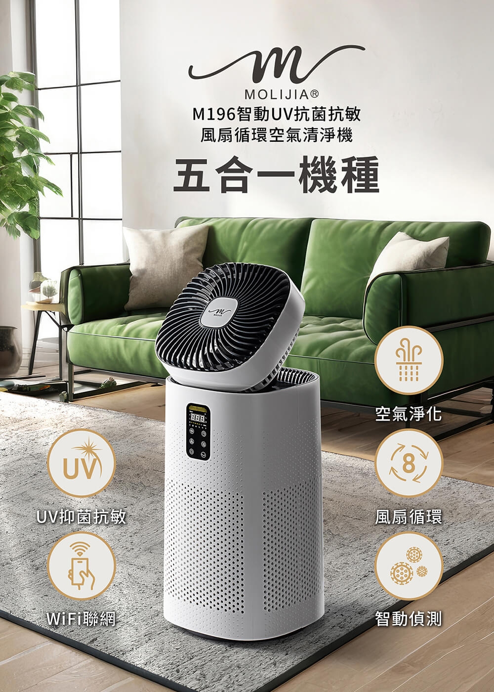 MOLIJIA魔力家 BY010096 - 詳情15