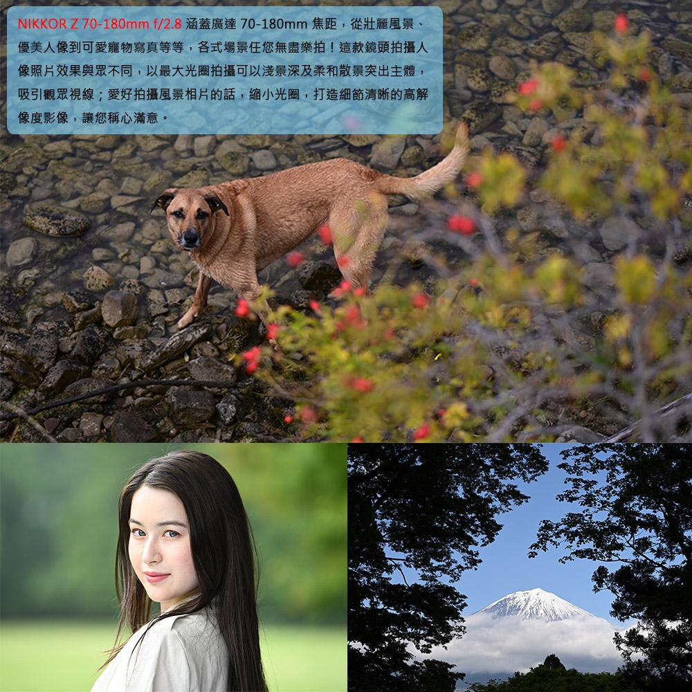 Nikon尼康 Z 70-180mm F/2.8 - 詳情4