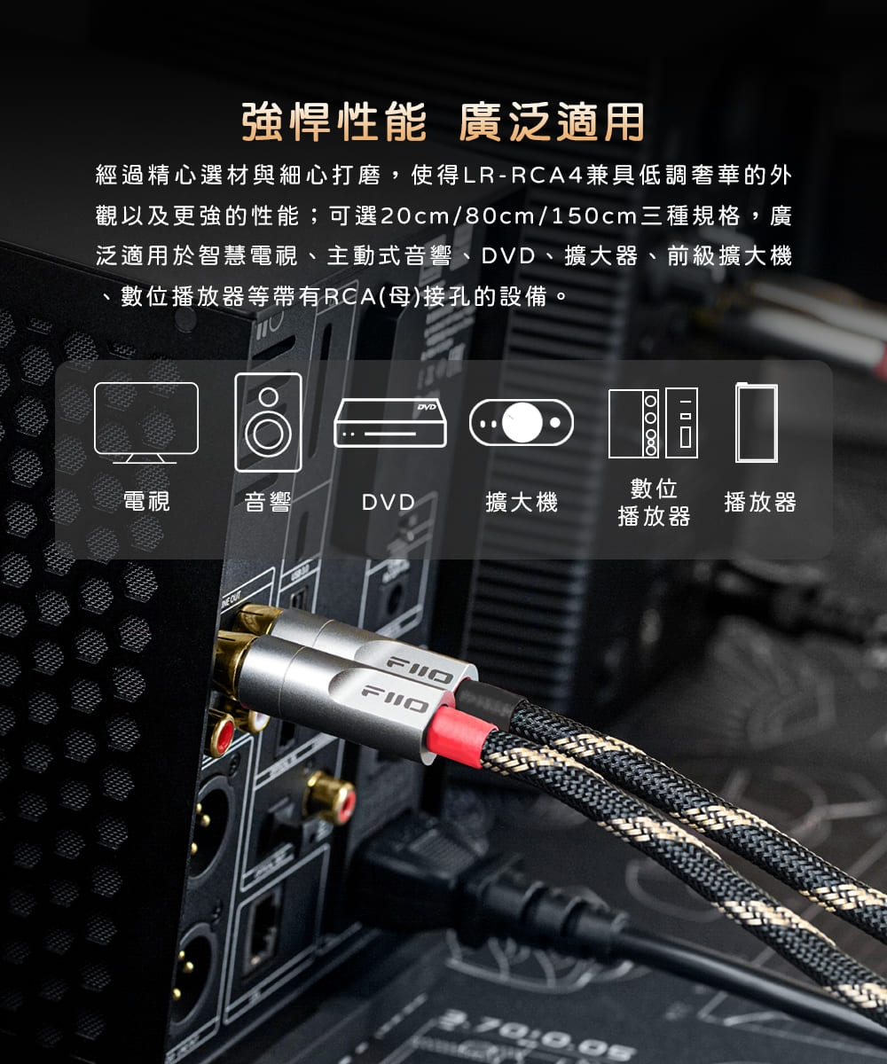 FiiO LR-RCA - 詳情3