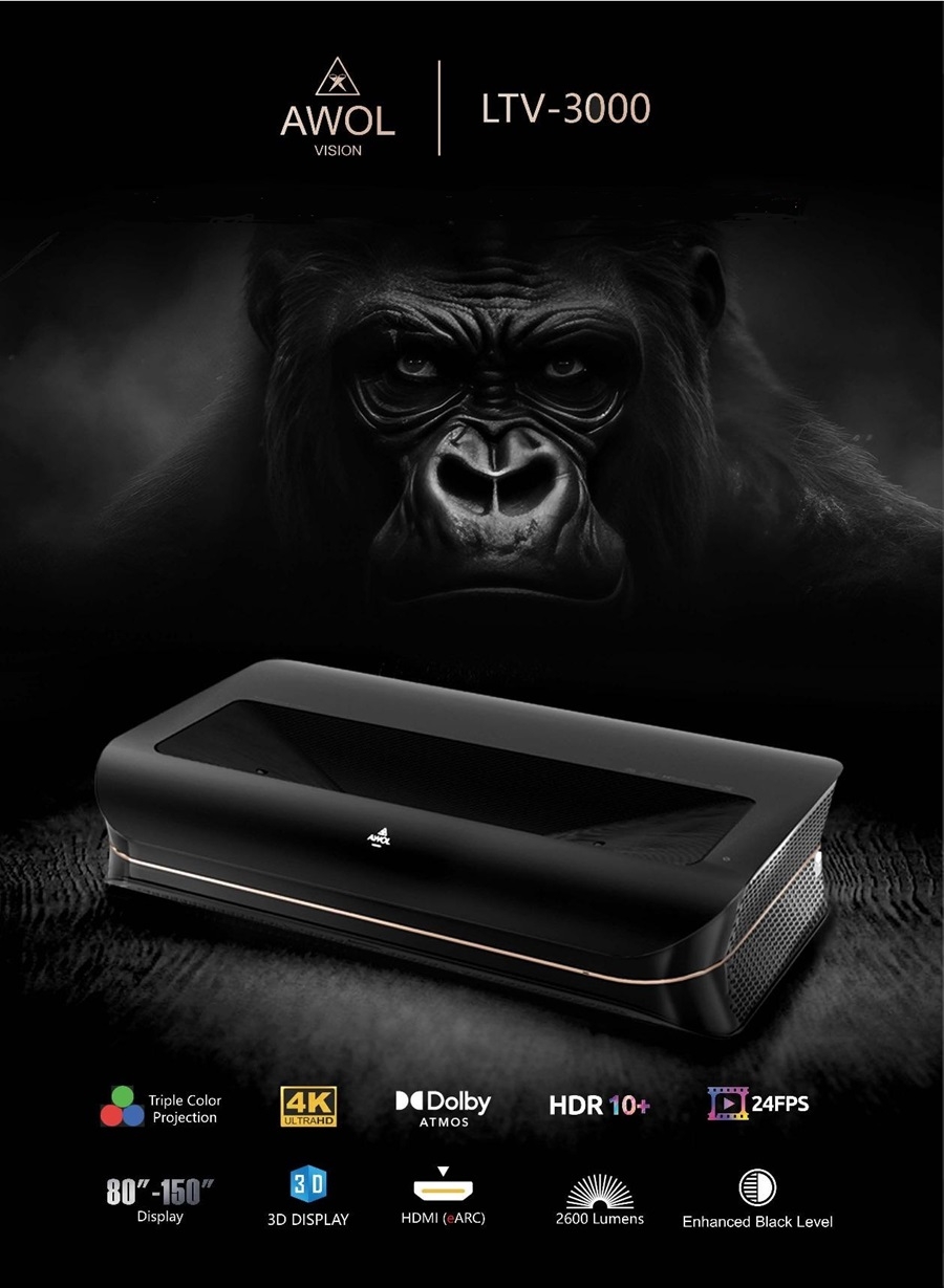 AWOL LTV-3000 - 詳情3