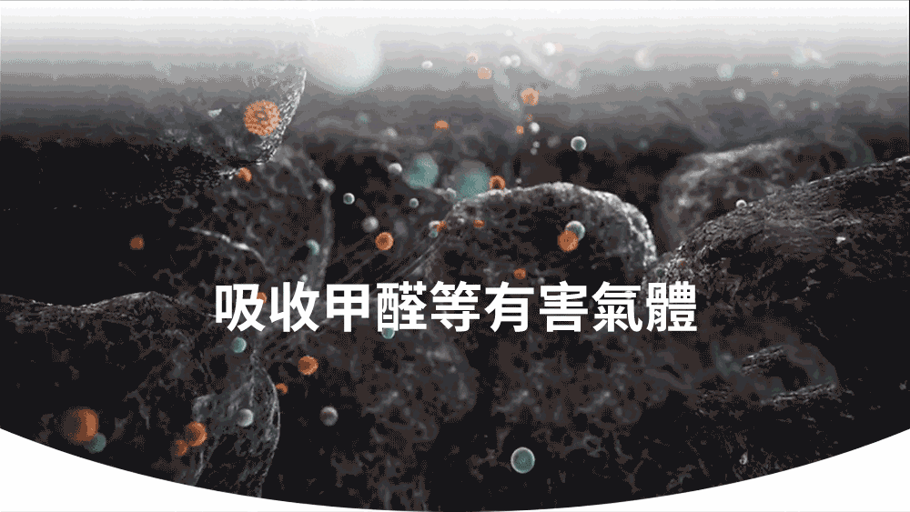 PHILIPS飛利浦 FY2422 - 詳情6