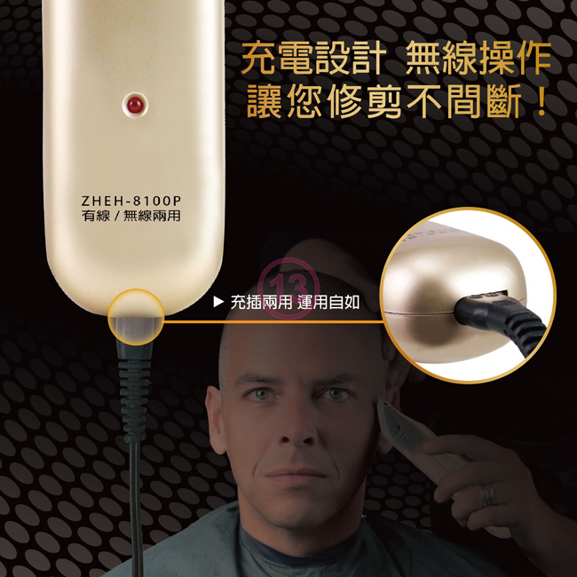 中華豪井 ZHEH-8100P - 詳情4