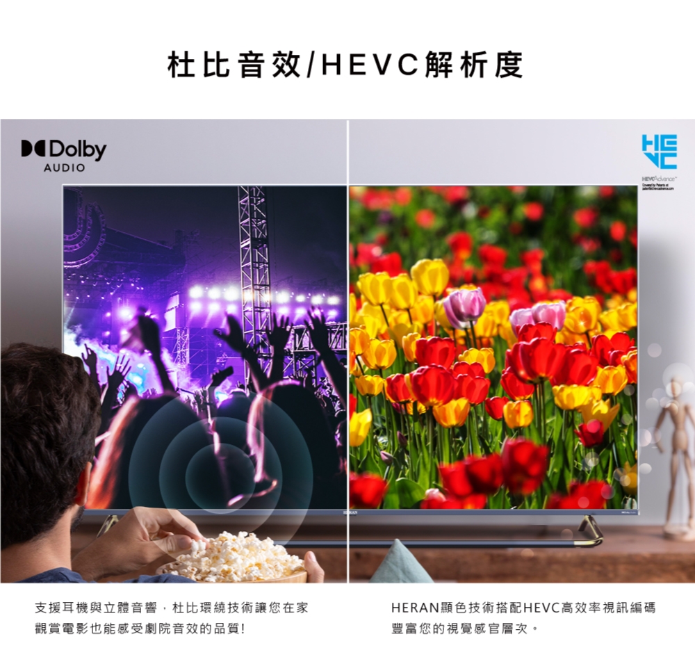 HERAN禾聯 HD-75QSF91 - 詳情11