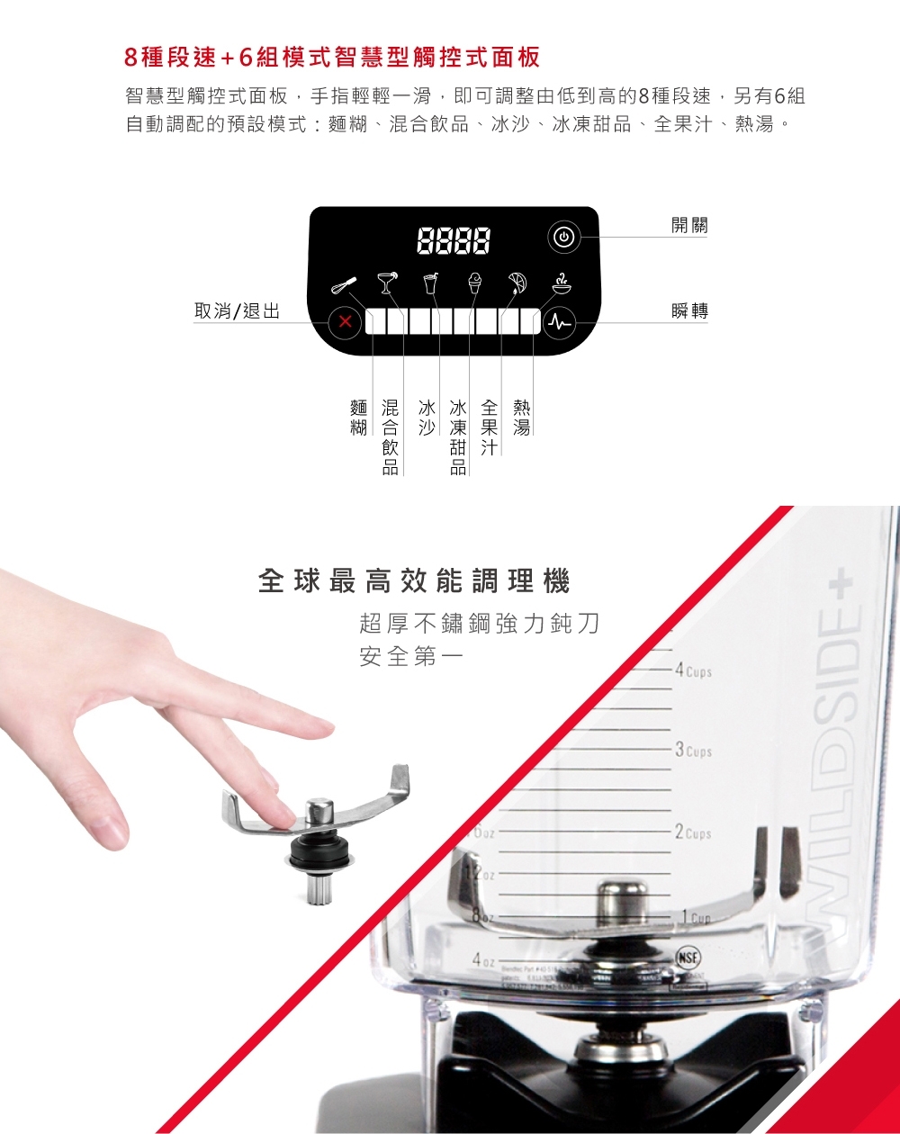 Blendtec 650 - 詳情2