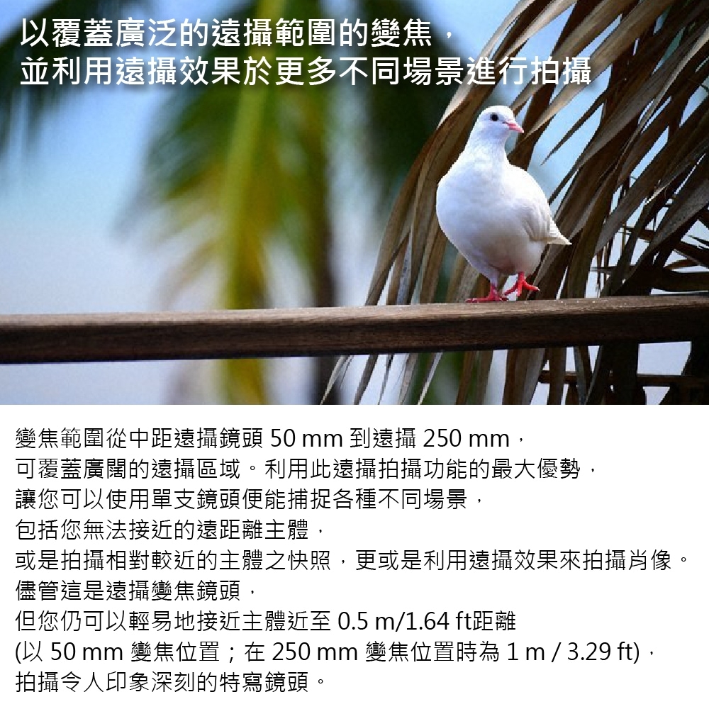 Nikon尼康 Z DX 50-250mm F/4.5-6.3 VR - 詳情3