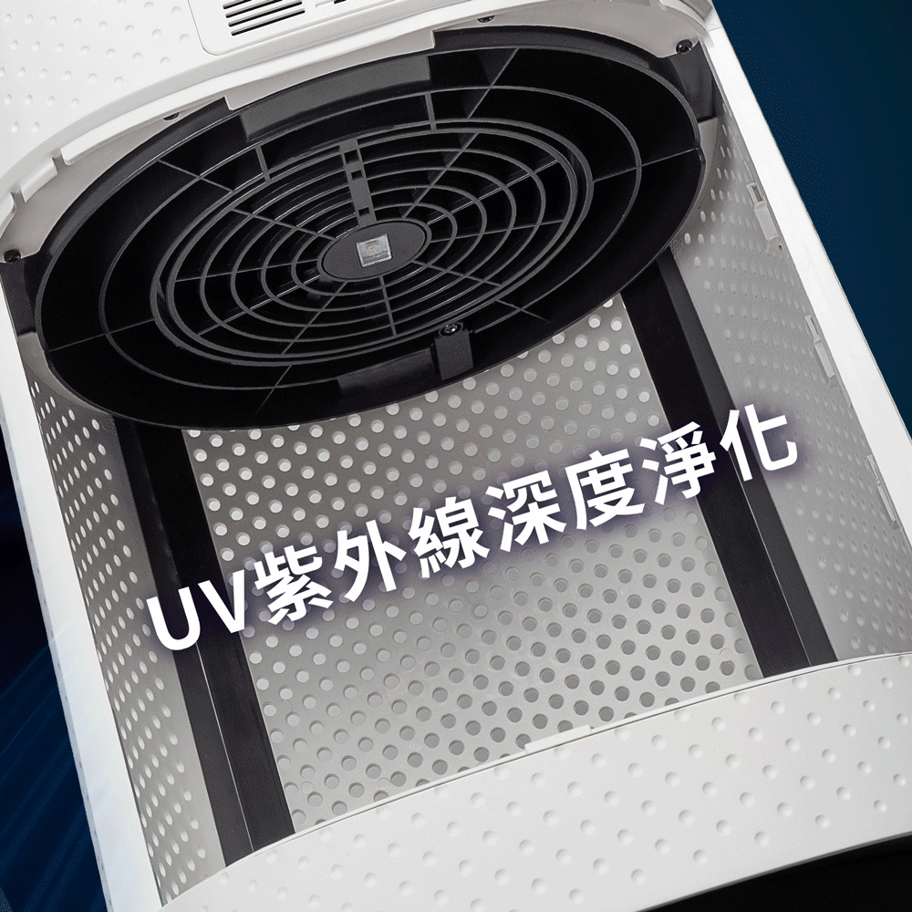 MOLIJIA魔力家 BY010096 - 詳情20