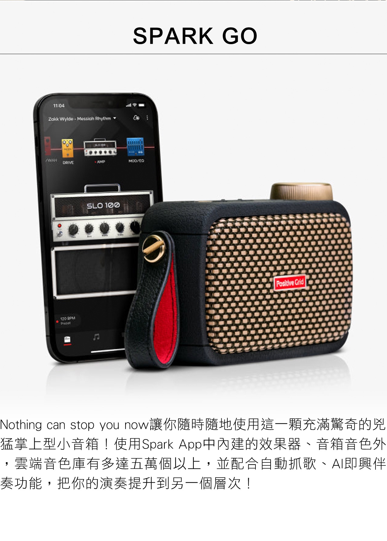 Positive Grid Spark GO - 詳情2