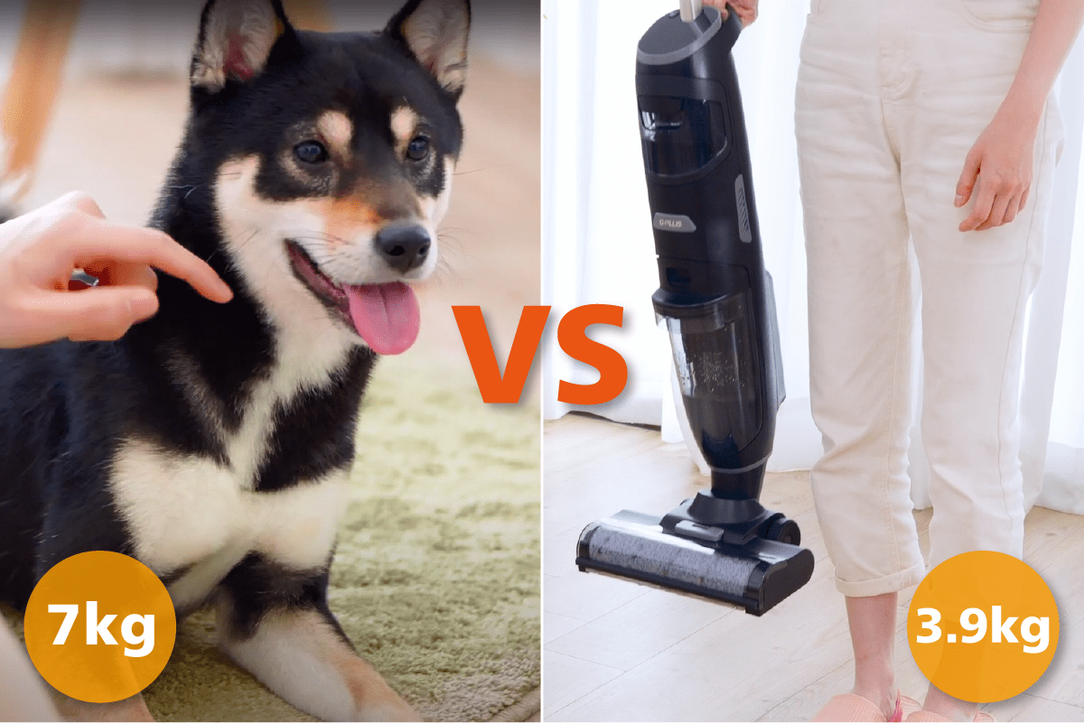 G-PLUS拓勤 GP-V001W - 詳情11