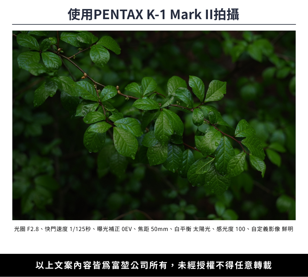 Pentax賓得士 HD FA 50mm F/1.4 - 詳情3