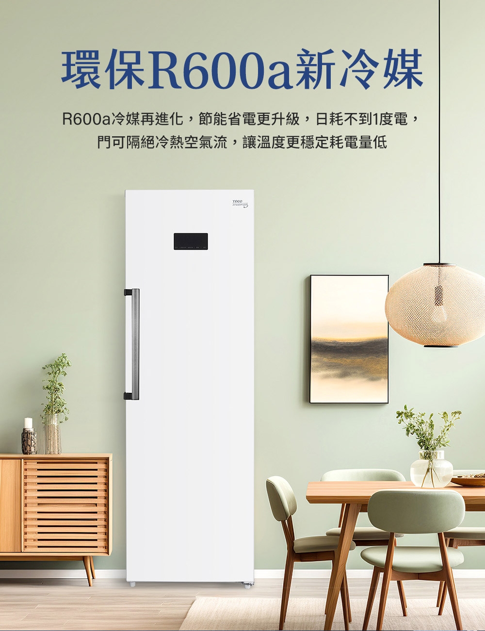 TECO東元 RL285SXW - 詳情10