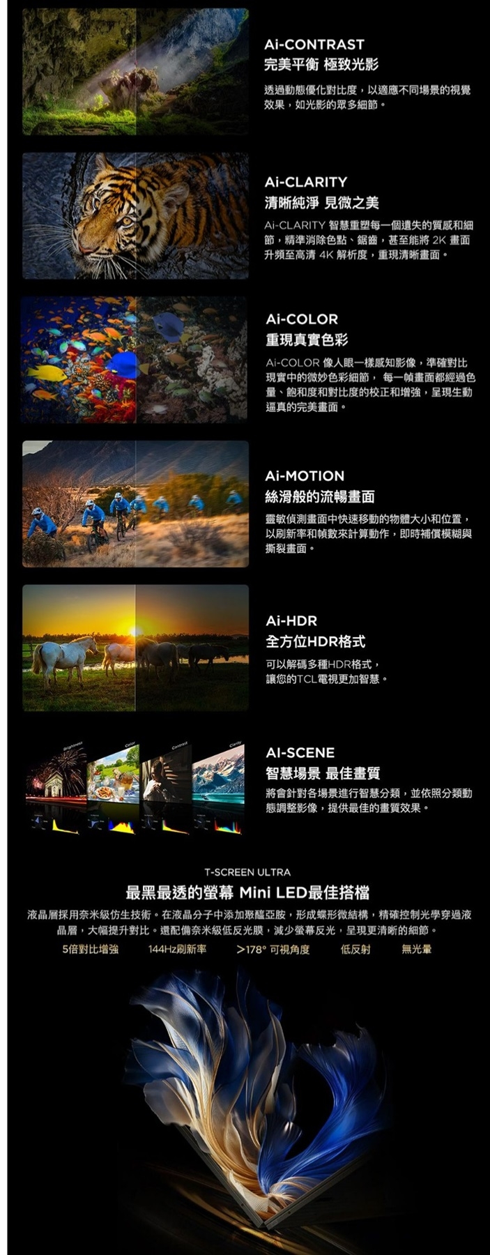 TCL 65C855 - 詳情5