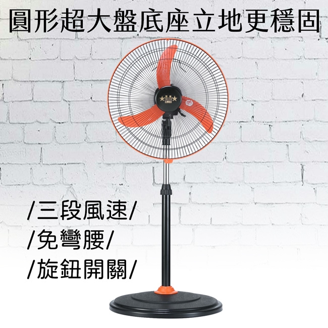 雙星 TS-1899 - 詳情1