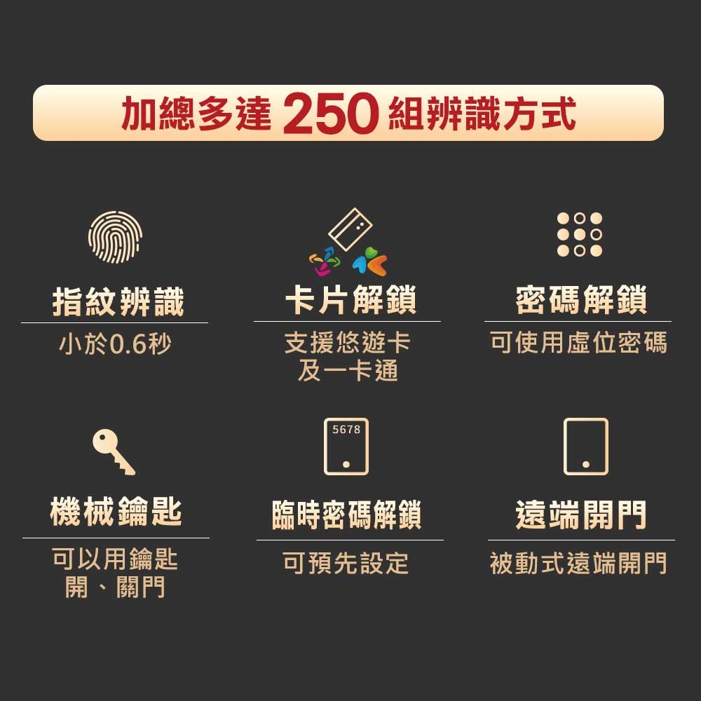 台熱牌 H1 - 詳情7