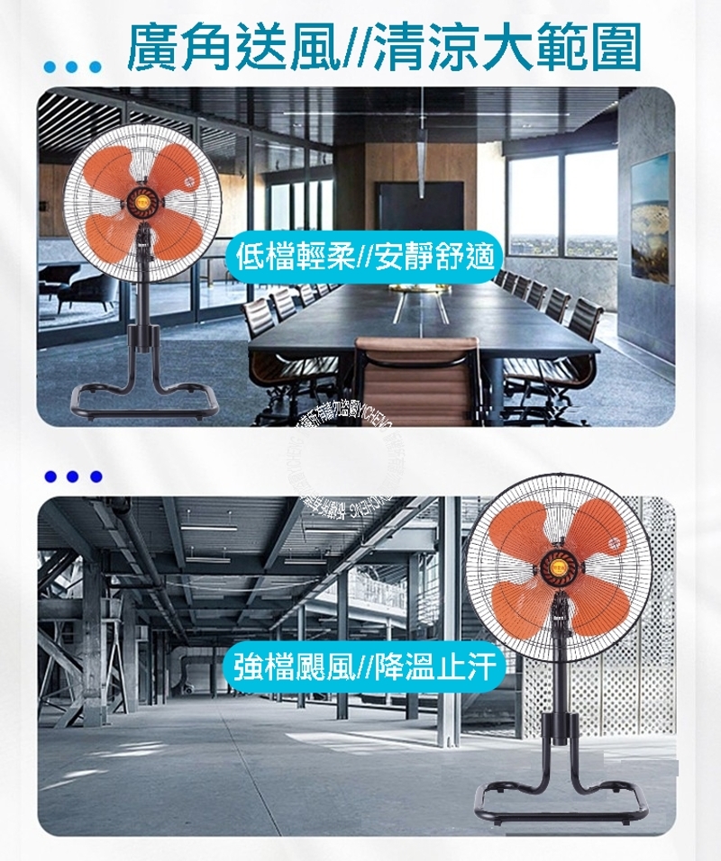 雙星 TS-1883 - 詳情3