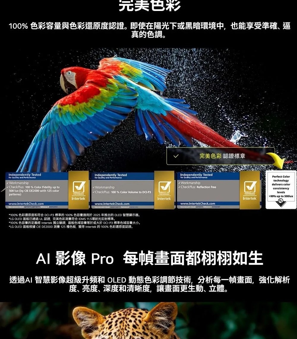 LG樂金 OLED55G5PTA - 詳情10