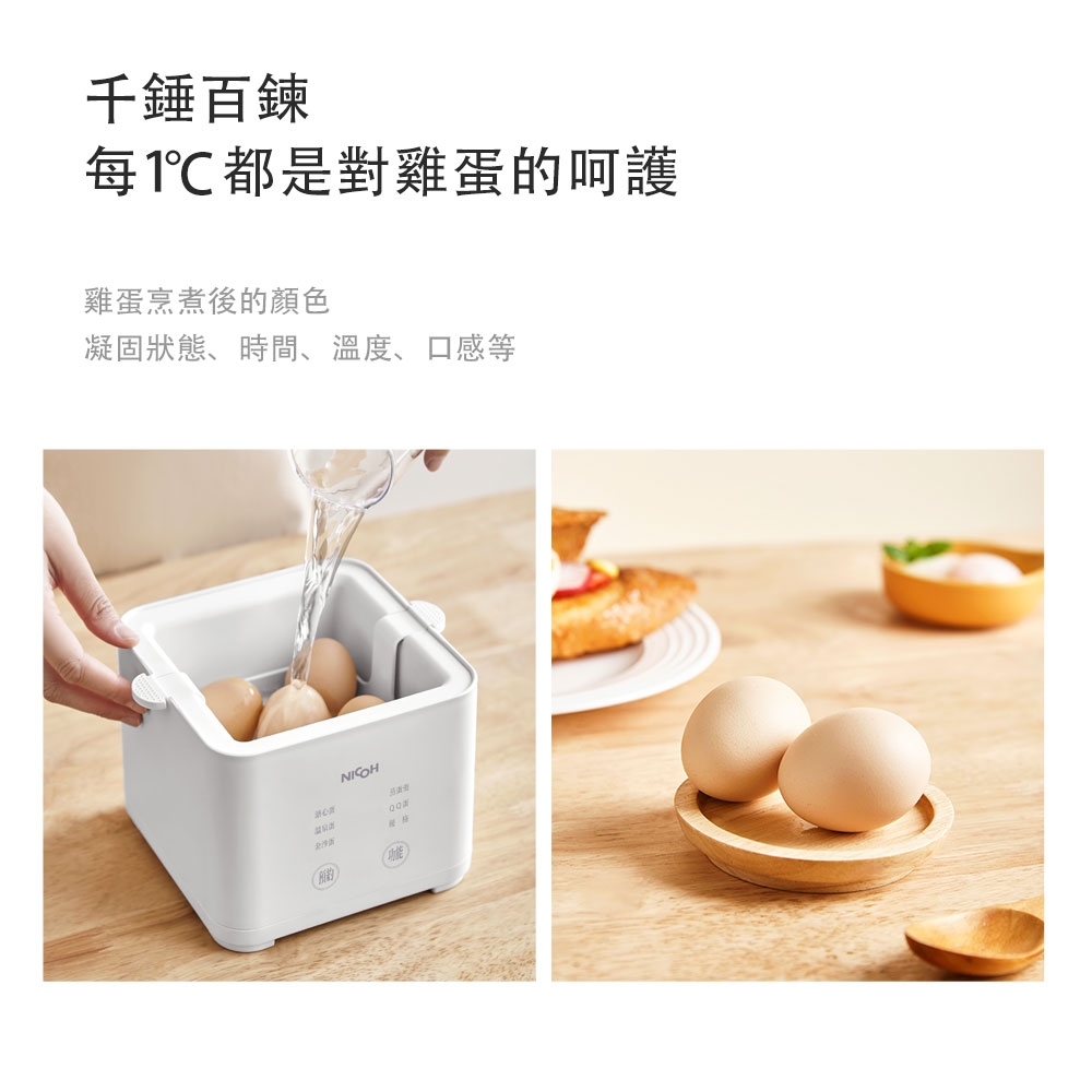 NICOH NEG-05 - 詳情7