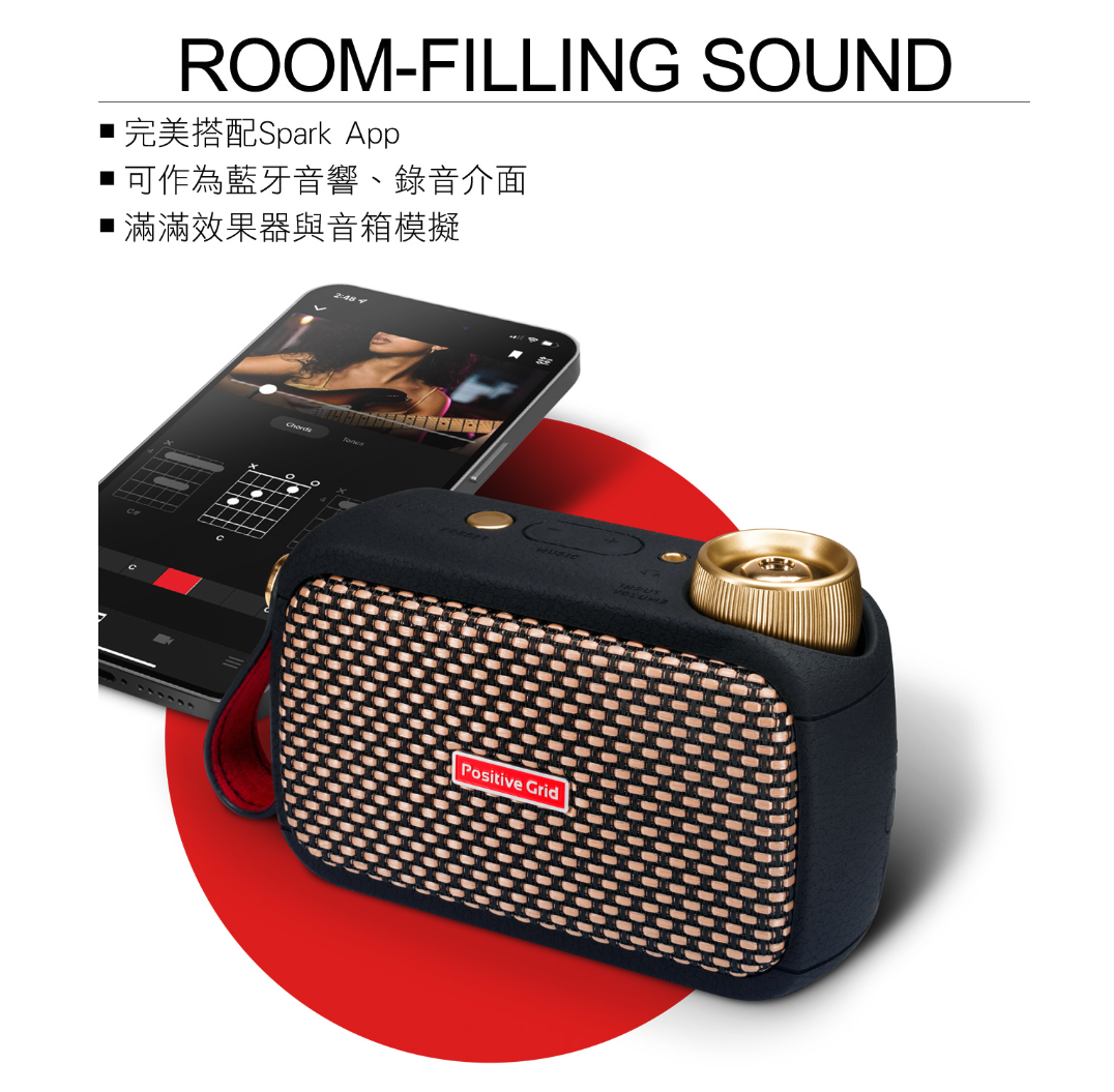Positive Grid Spark GO - 詳情3