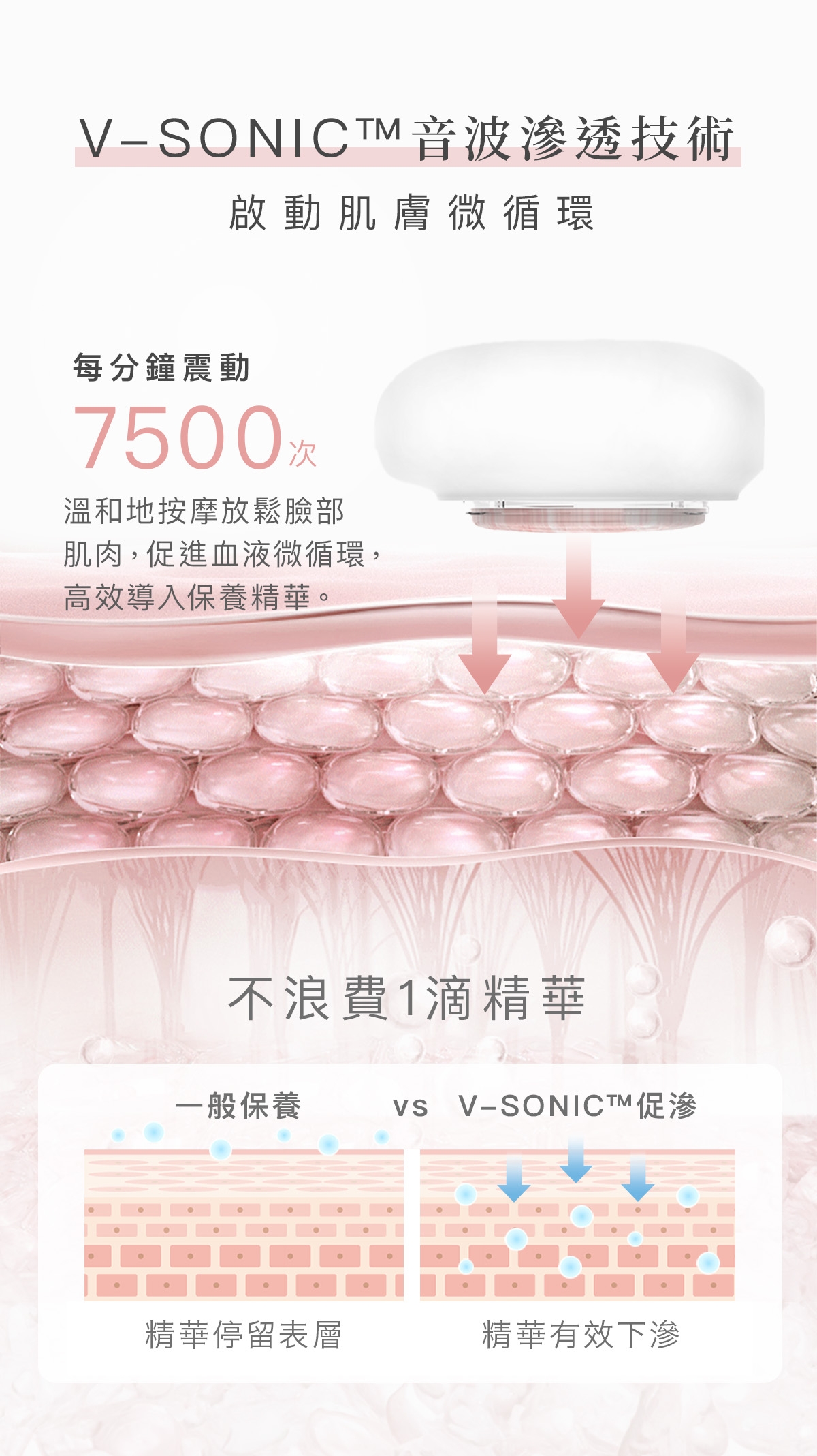 NUEVA AQUA - 詳情10