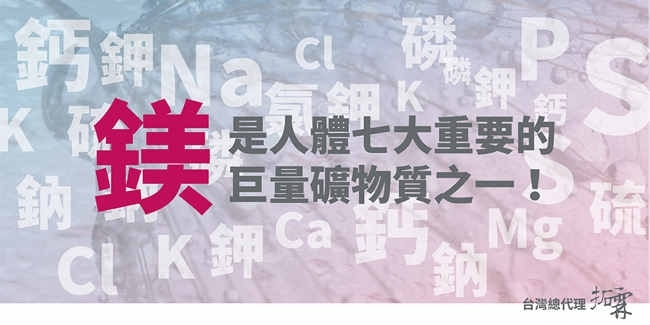 BWT德國倍世 SLIM-MG - 詳情6