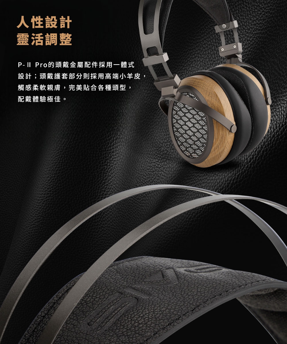 SIVGA P-II Pro - 詳情11