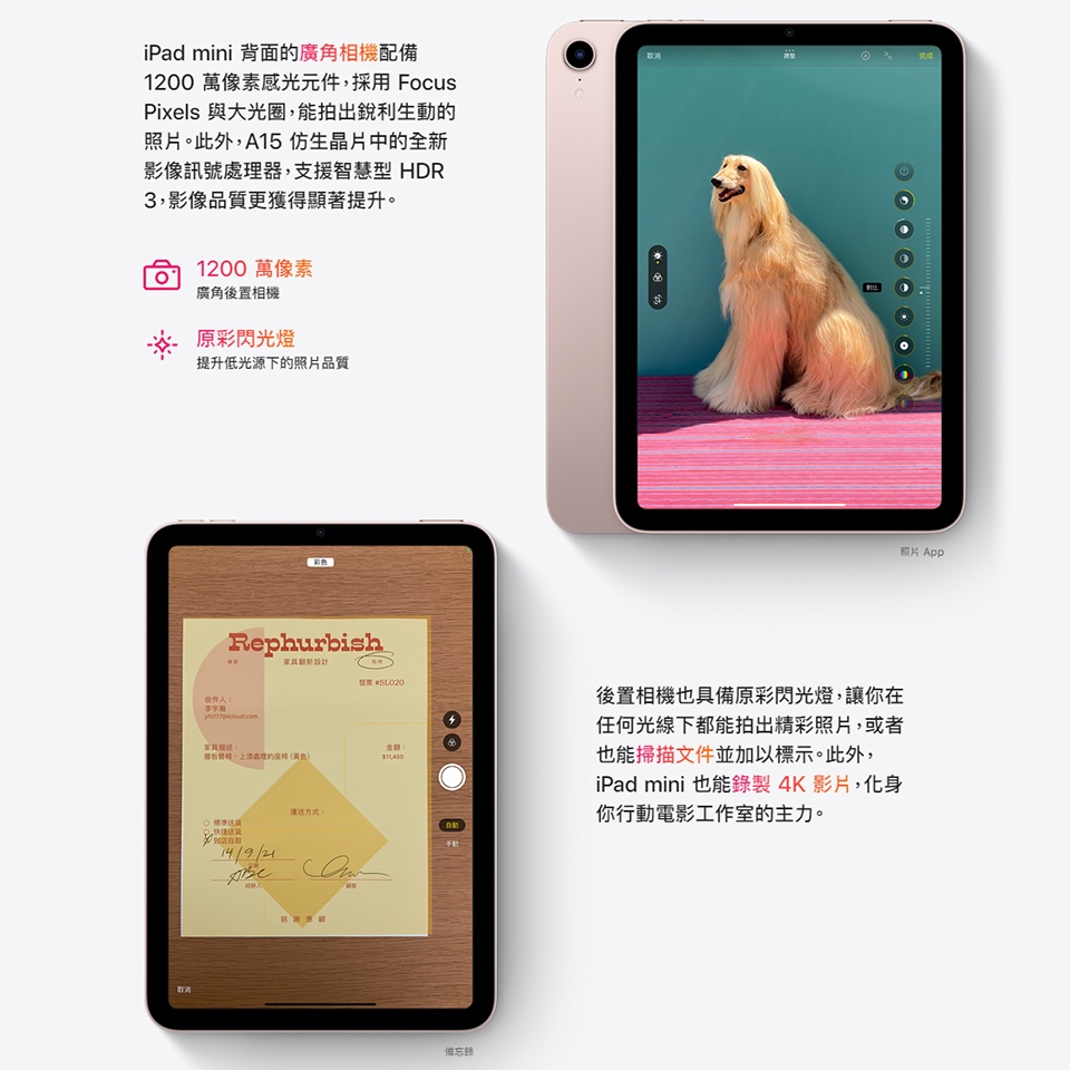 Apple蘋果 iPad mini 6 - 詳情4