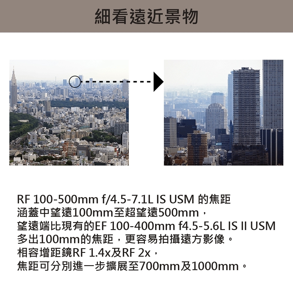 Canon佳能 RF 100-500mm F/4.5-7.1 L IS USM - 詳情3