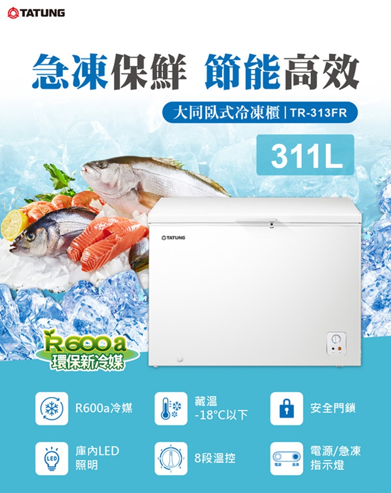 TATUNG大同 TR-313FR - 詳情5