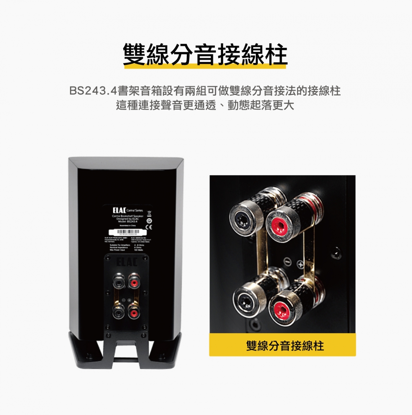 ELAC Carina BS - 詳情6