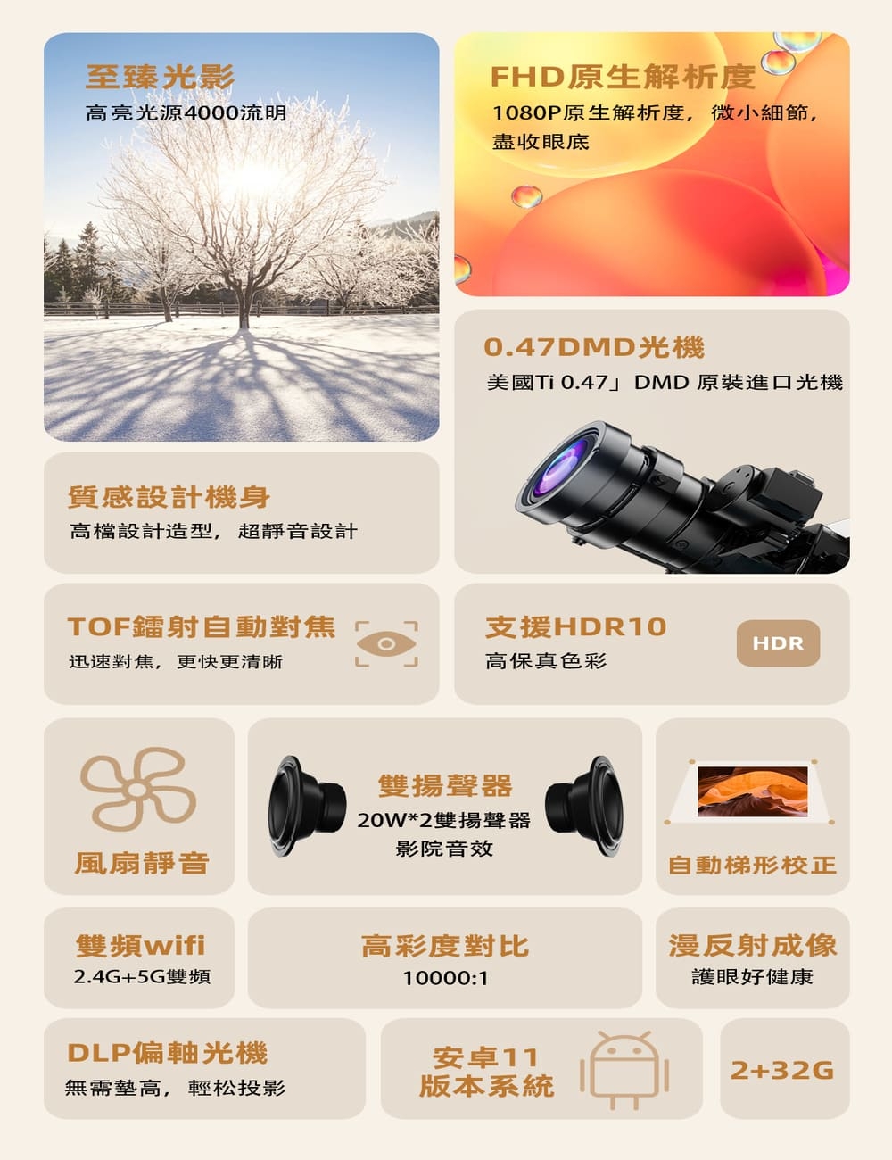 wondermax SS8-K - 詳情8