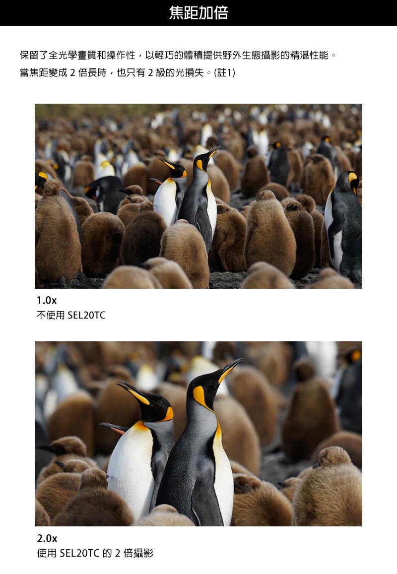 SONY索尼 SEL20TC - 詳情6