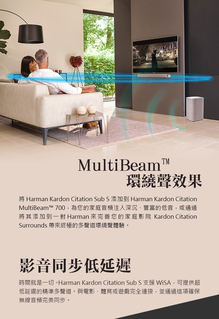 Harman Kardon Citation Sub S - 詳情3