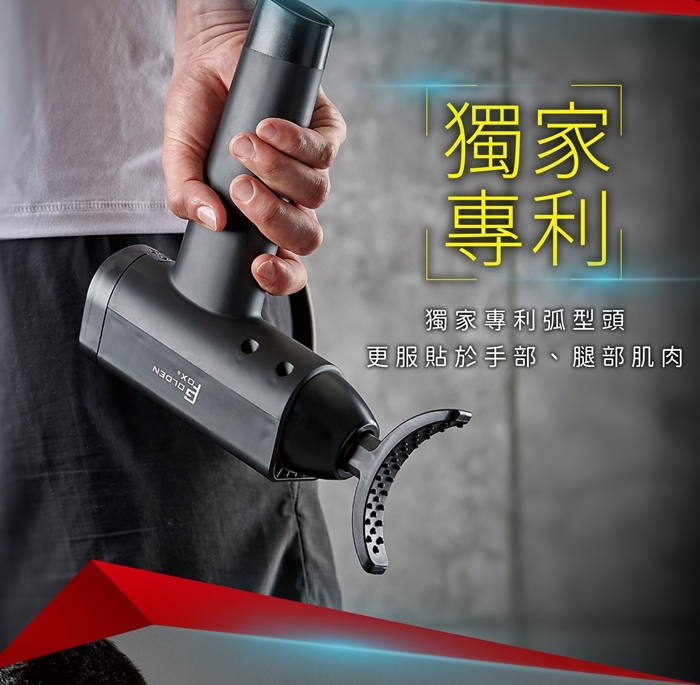 GOLDEN FOX GF-916 - 詳情16