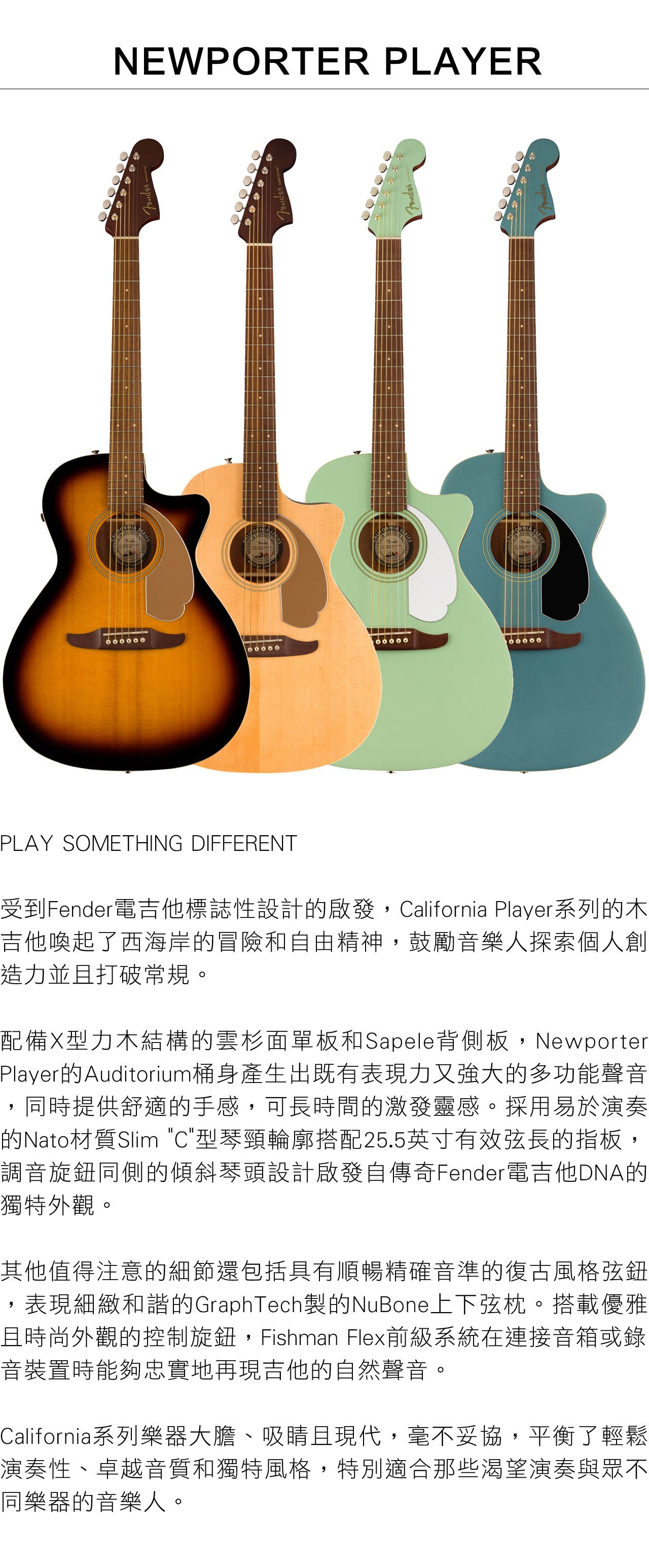 FENDER Newport - 詳情8