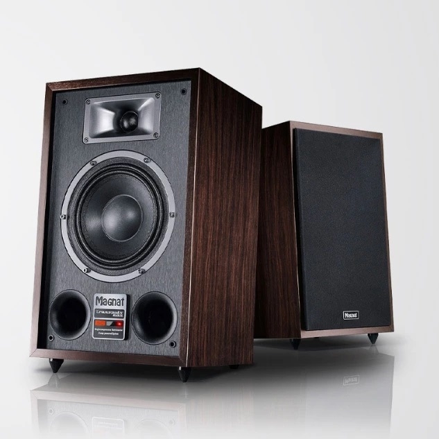 Magnat Transpuls 800A - 詳情5