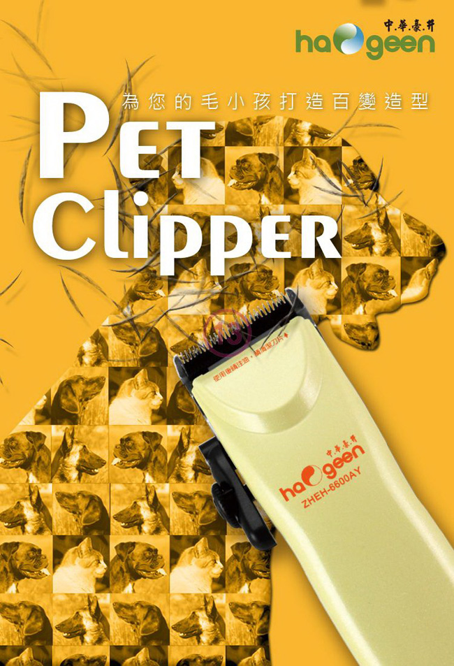 中華豪井 ZHEH-6600AY - 詳情6