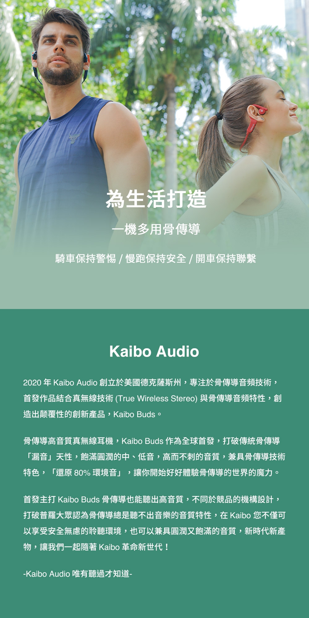 Kaibo Verse Plus - 詳情3