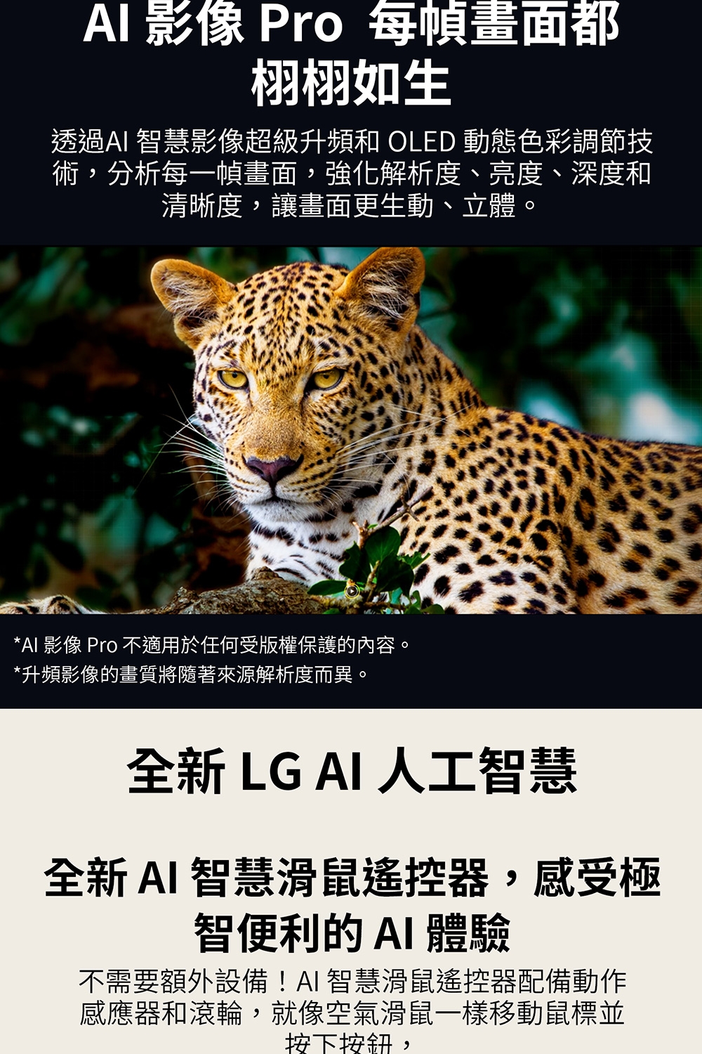 LG樂金 OLED55B5PTA - 詳情15