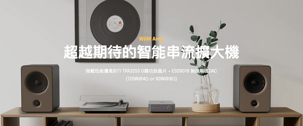 Wharfedale Diamond 12.2 - 詳情8