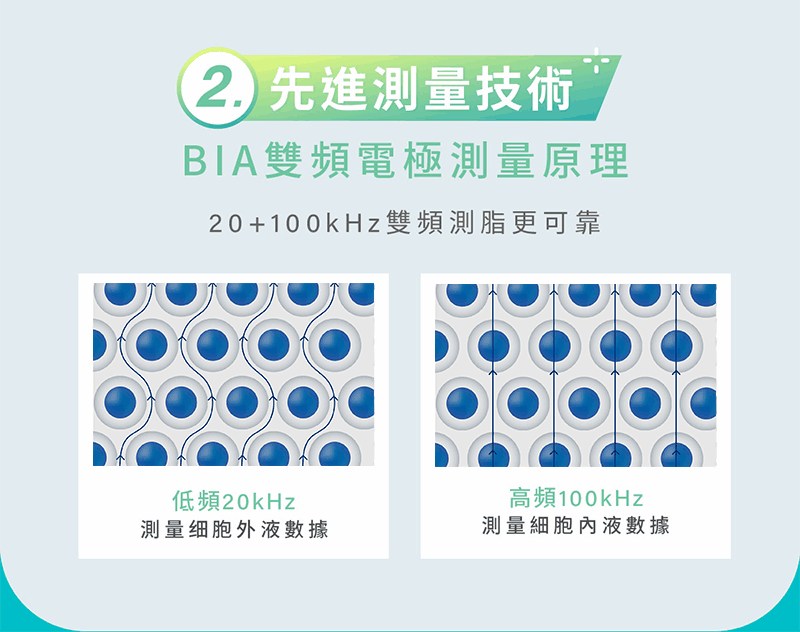 輝葉 HY-20151 - 詳情21